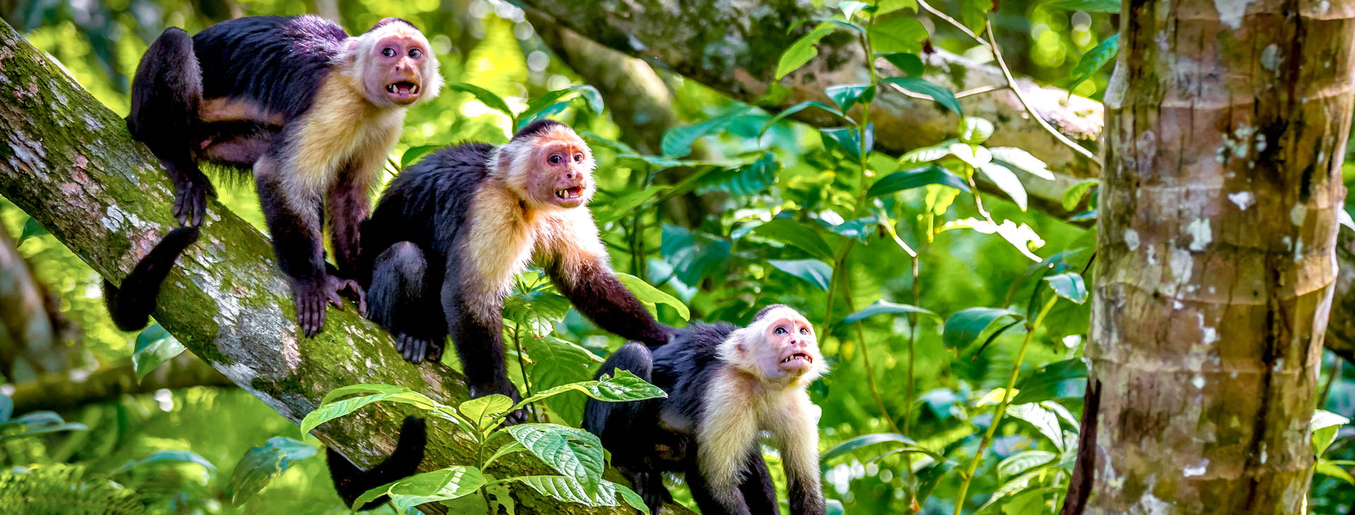 Ubytování KIP Obrázok10