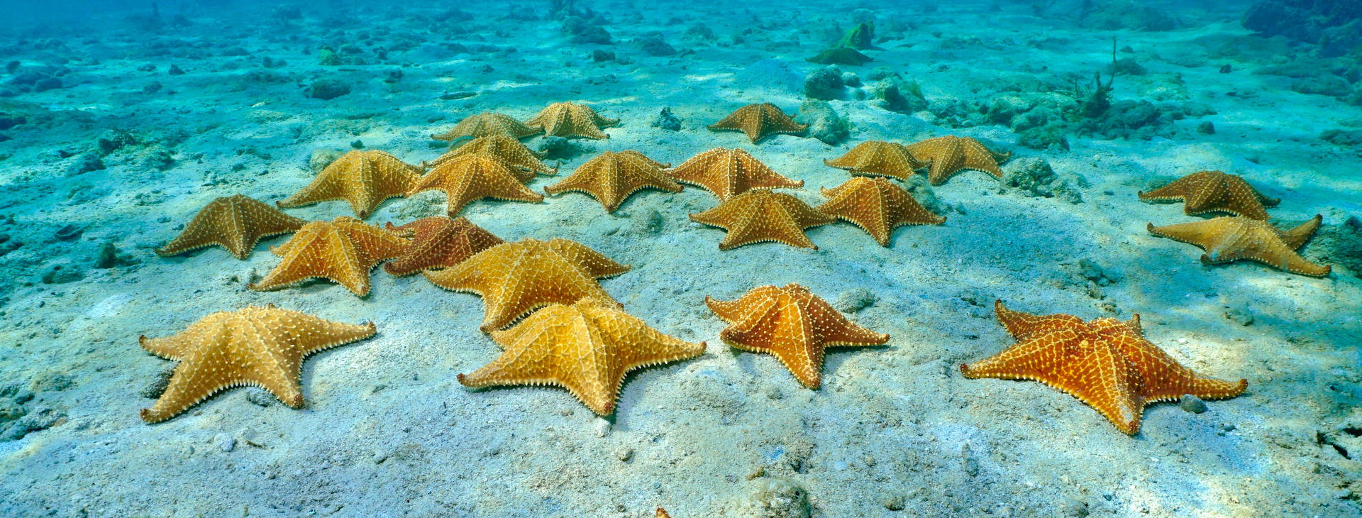 Ubytování KIP Obrázok1