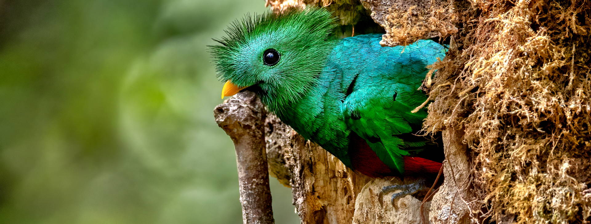 Ubytování KIP Obrázok14