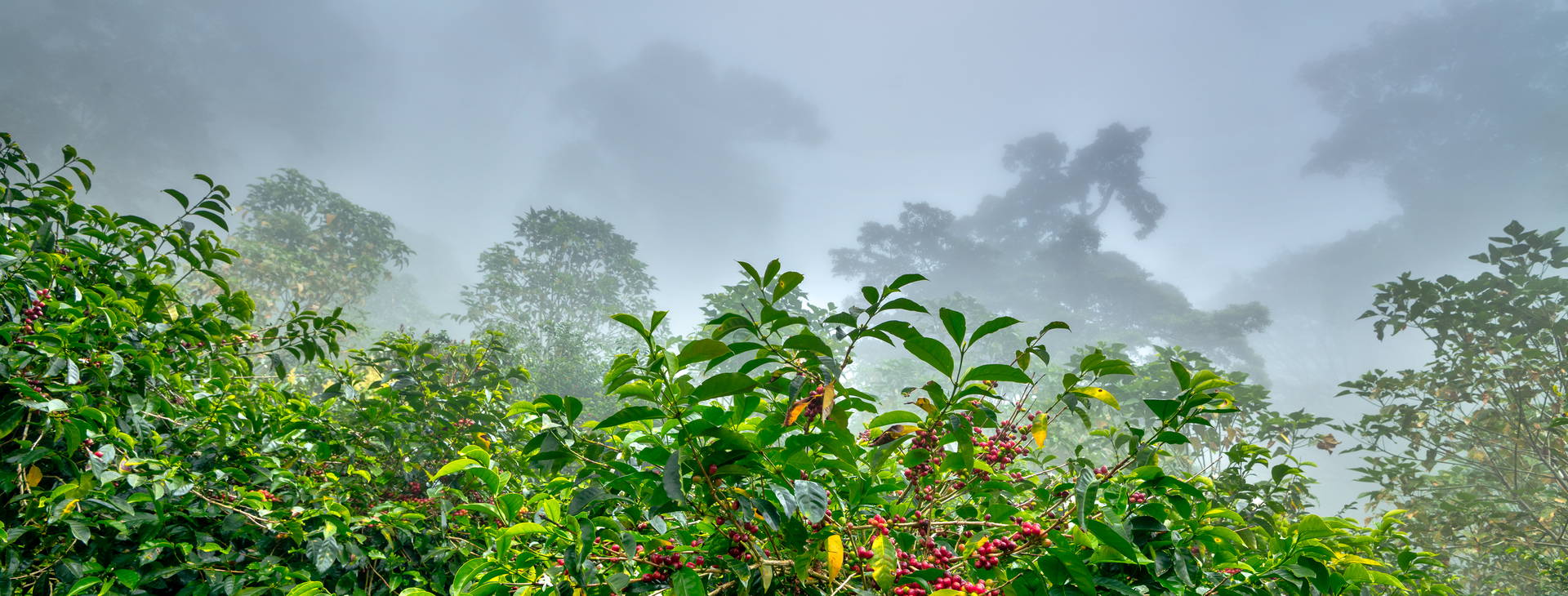 Ubytování KIP Obrázok28