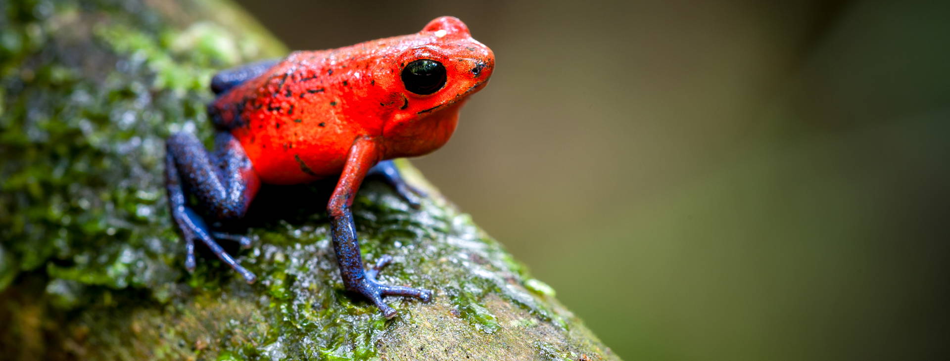 Ubytování KIP Obrázok19