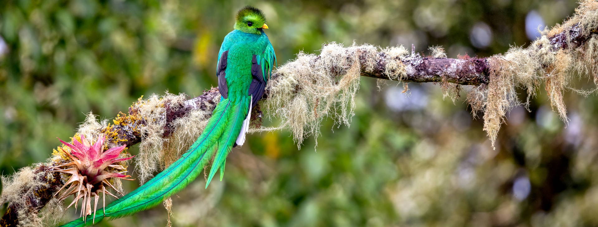 Ubytování KIP Obrázok29