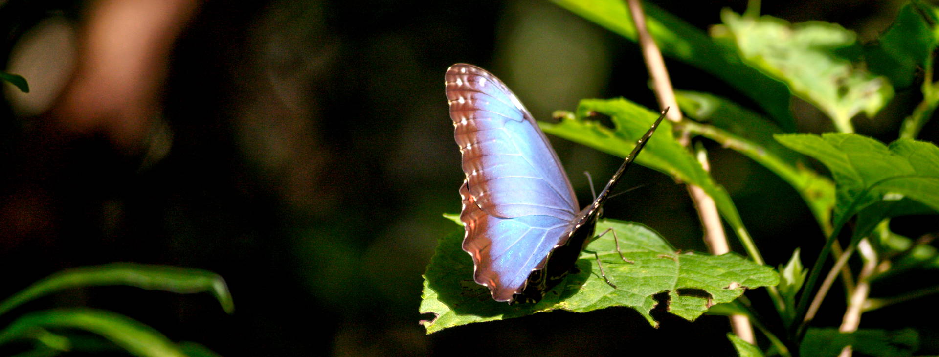 Ubytování KLC Obrázok42