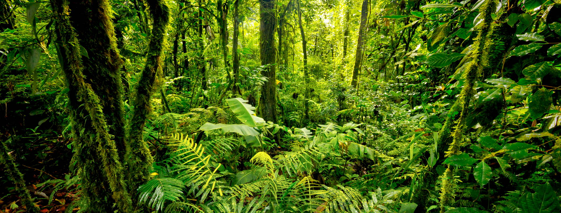 Ubytování KLC Obrázok3