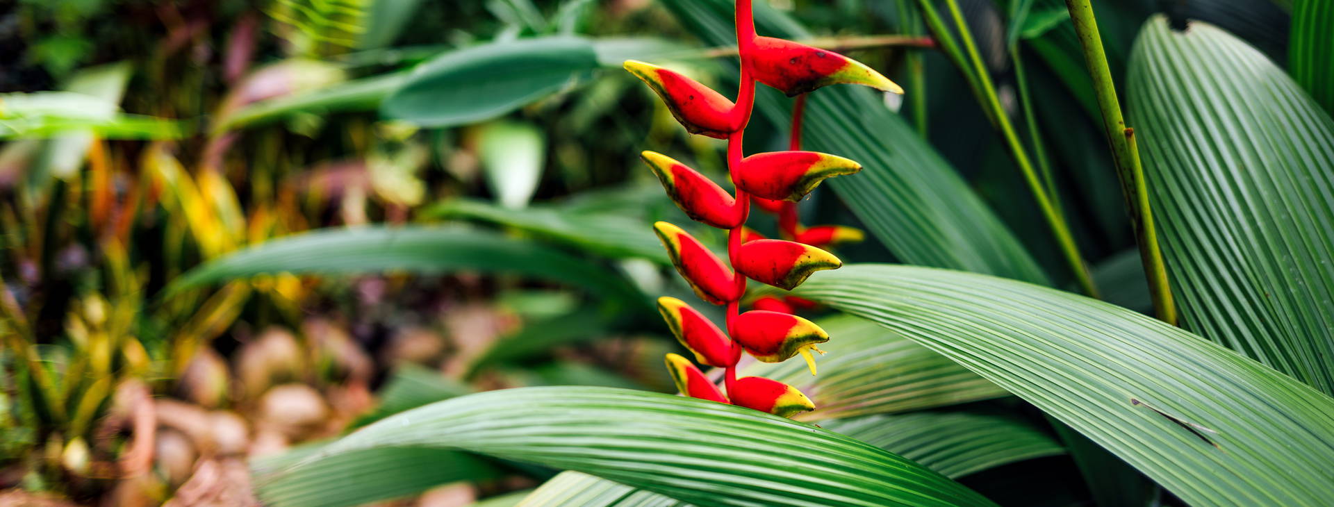 Ubytování KLC Obrázok8