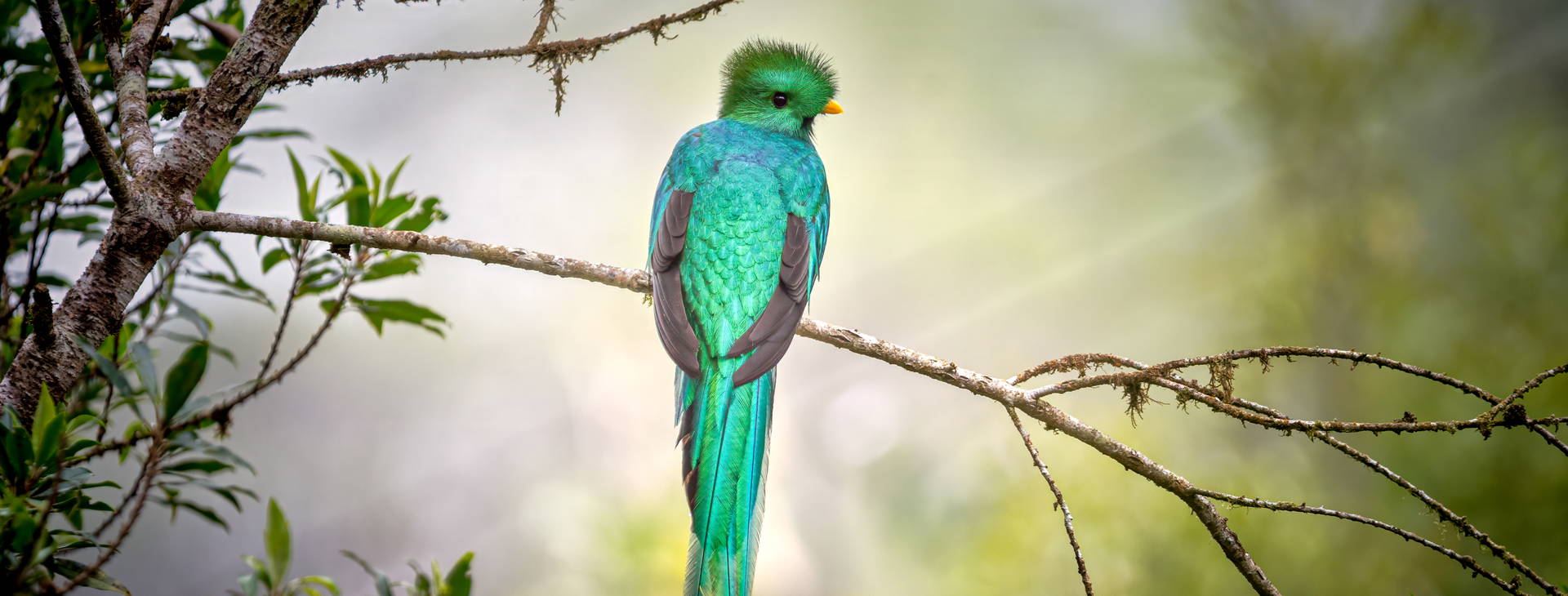 Ubytování KLC Obrázok5