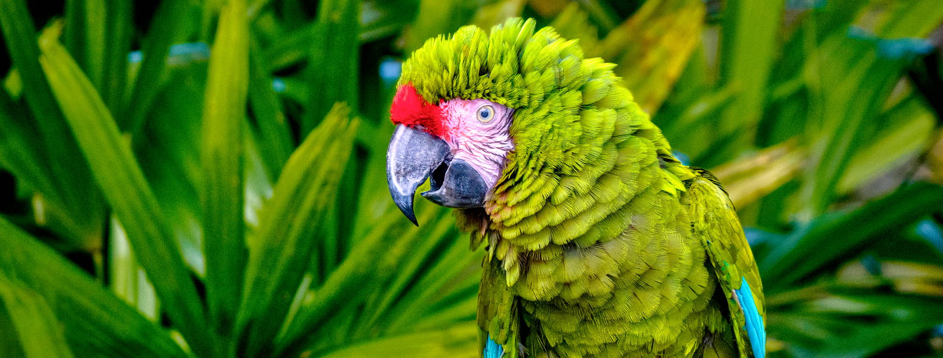 Ubytování KLC Obrázok1