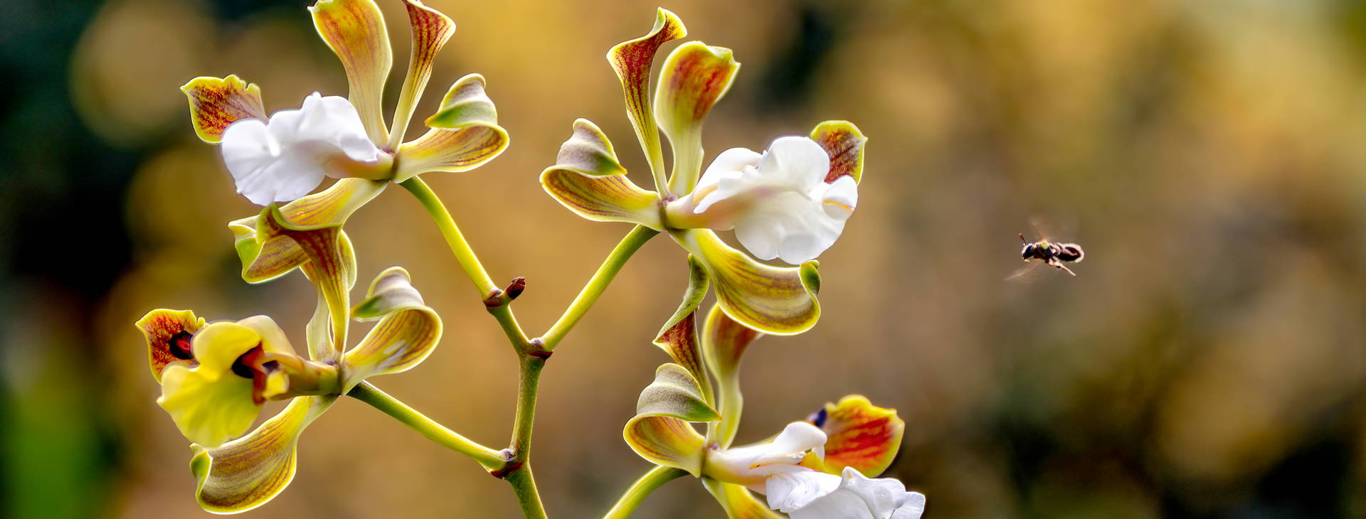 Ubytování KLC Obrázok0