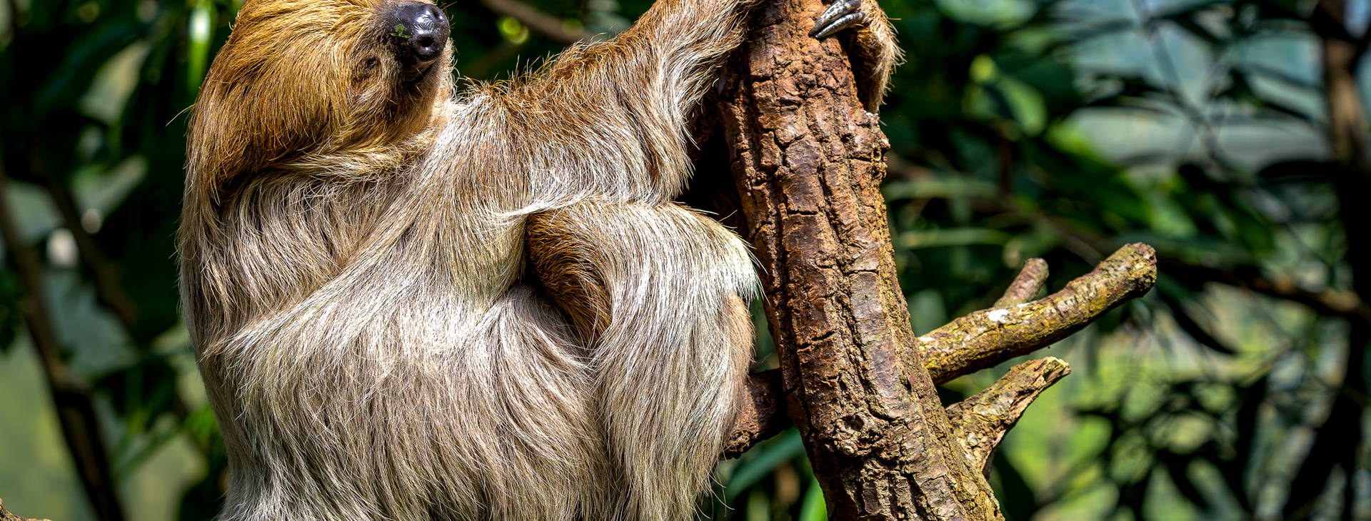 Ubytování KLC Obrázok15