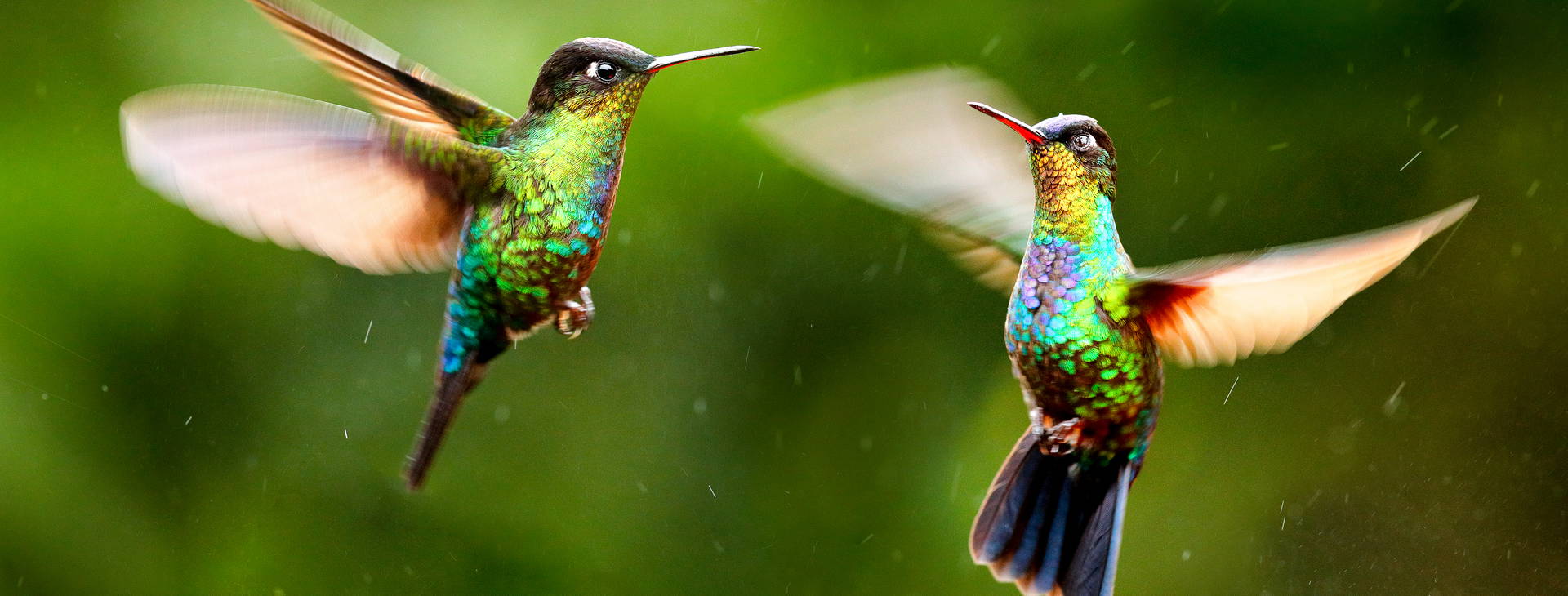 Ubytování KLC Obrázok27