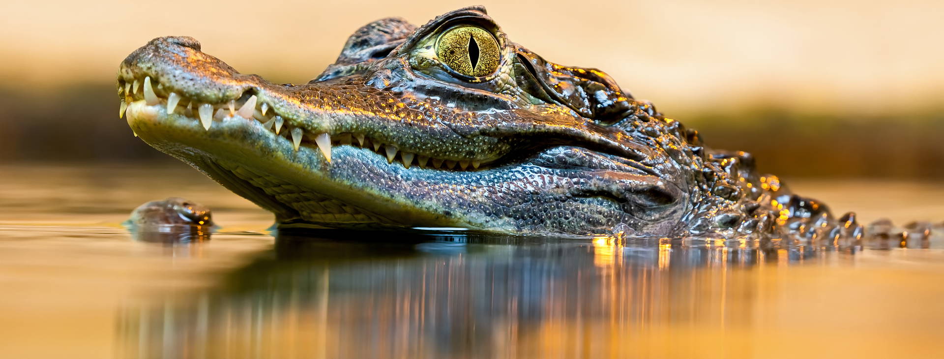 Ubytování KLC Obrázok26