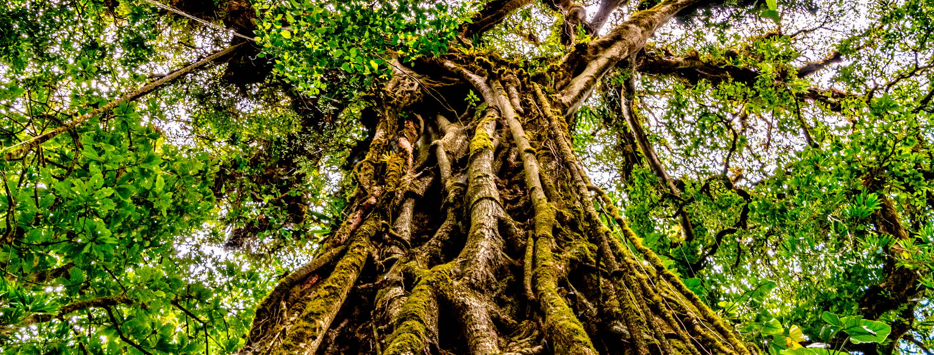 Ubytování KLC Obrázok24