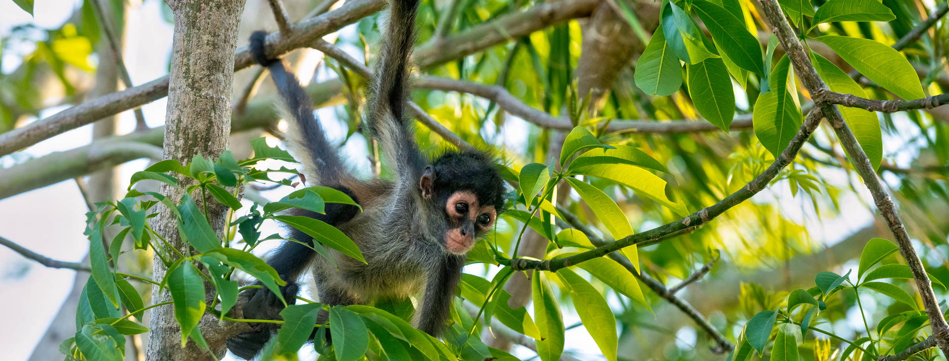 Ubytování KLC Obrázok29