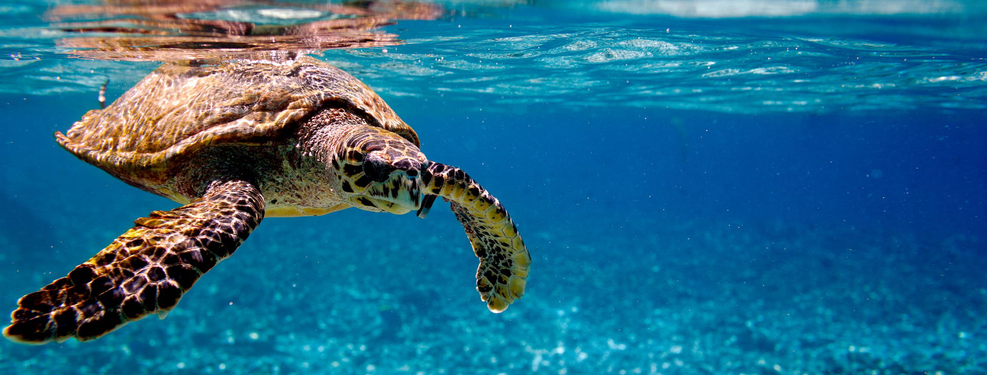 Ubytování KLC Obrázok2