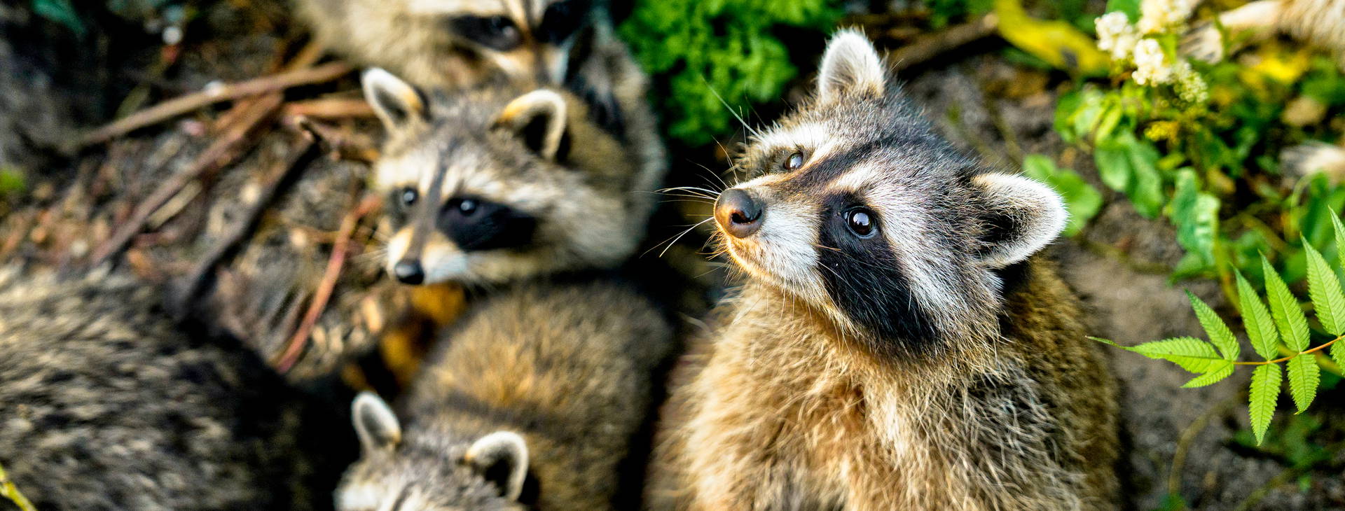 Ubytování KLC Obrázok17