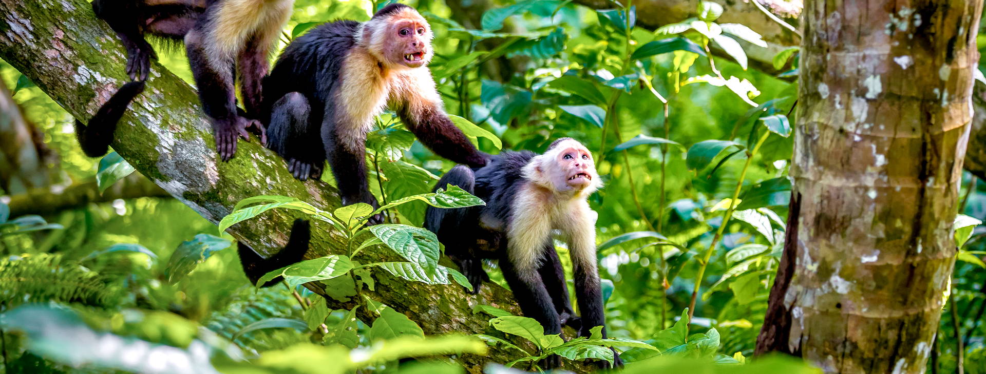 Ubytování KLC Obrázok34