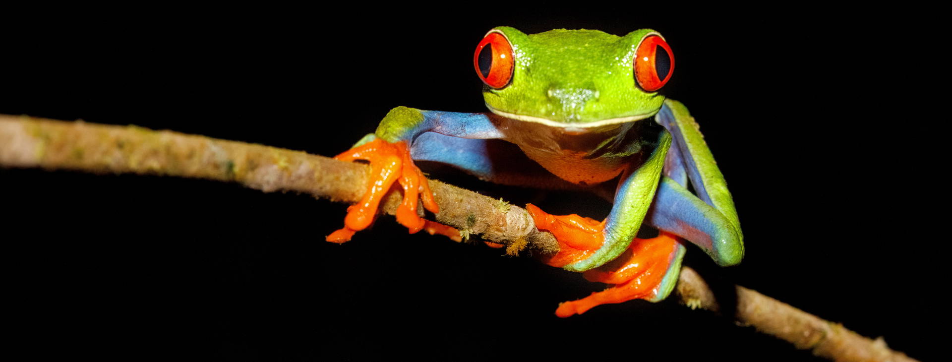 Ubytování KLC Obrázok38