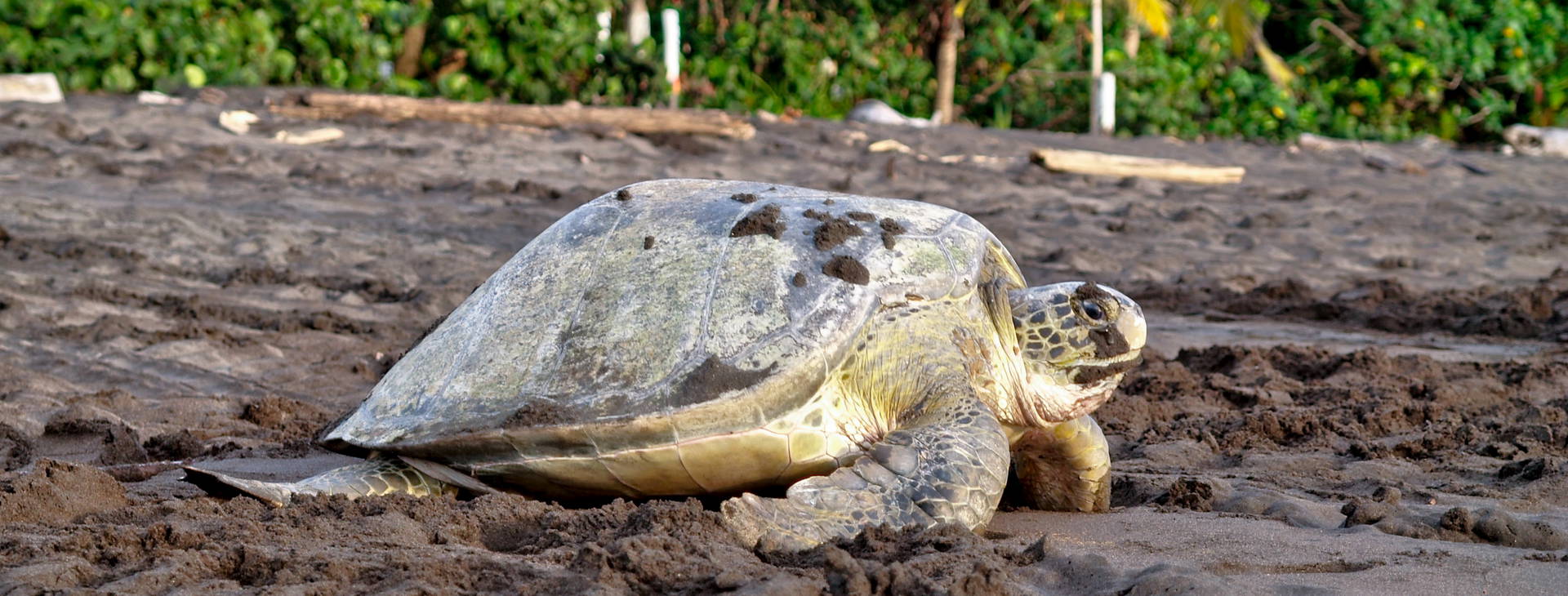 Ubytování KLC Obrázok37