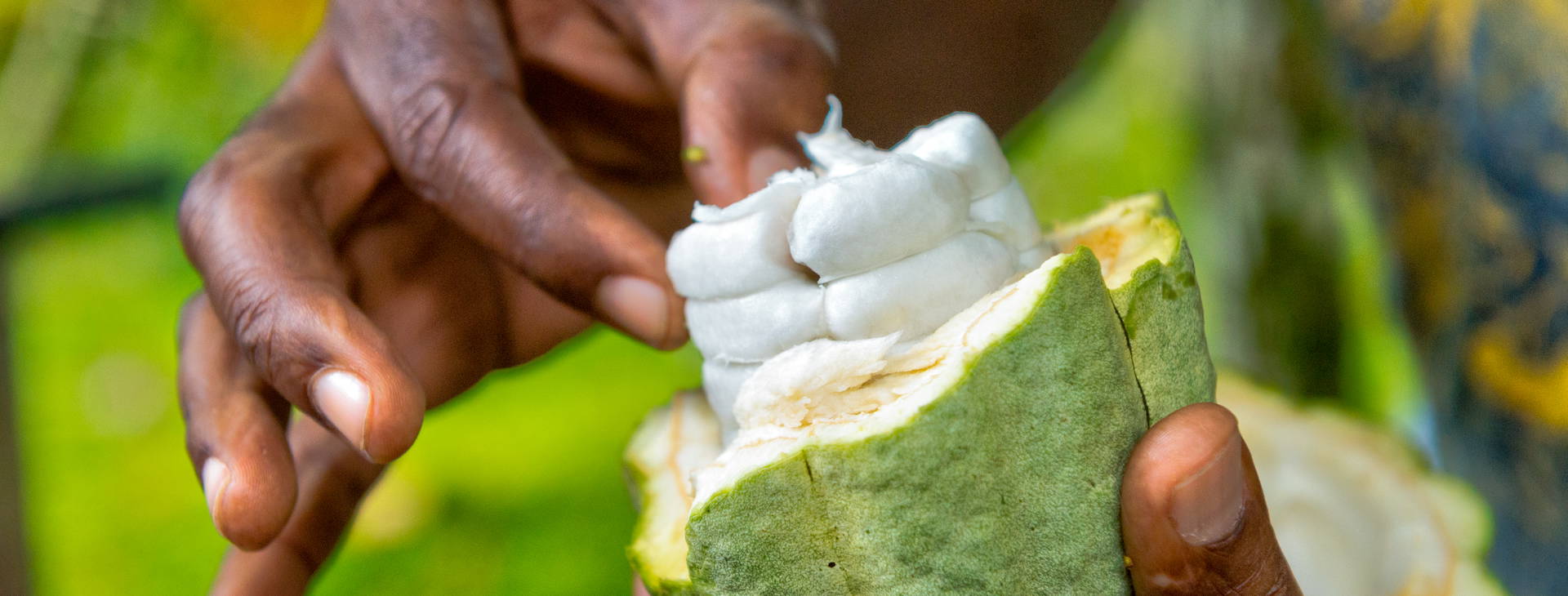 Ubytování KLC Obrázok40