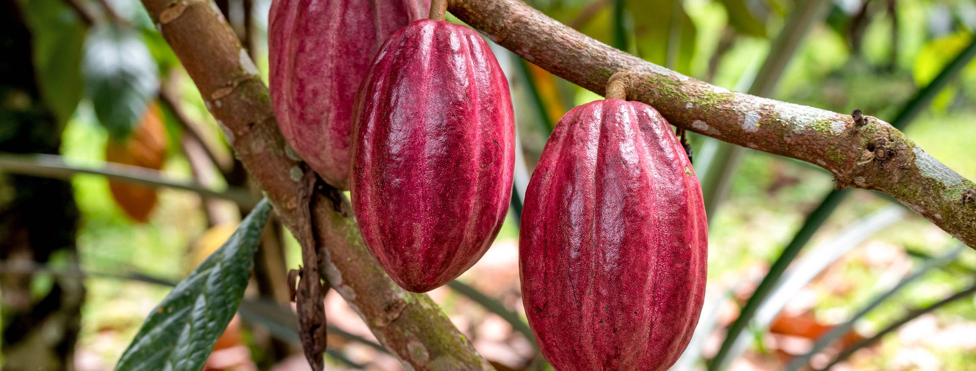 Ubytování KLC Obrázok7