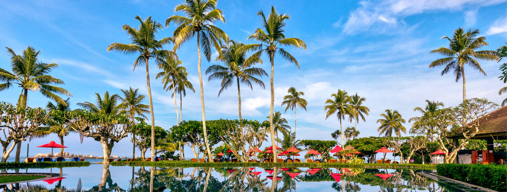 Hikka Tranz by Cinnamon Obrázok17