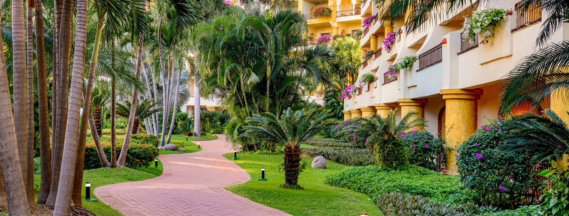 Velas Vallarta Resort Obrázok10
