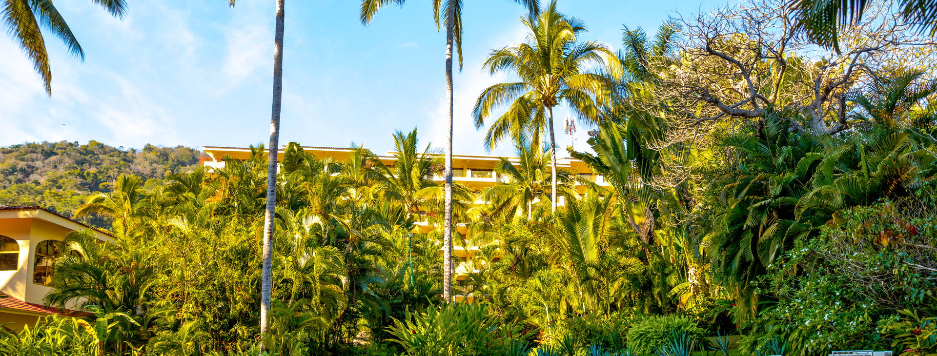 Barcelo Puerto Vallarta Obrázok10