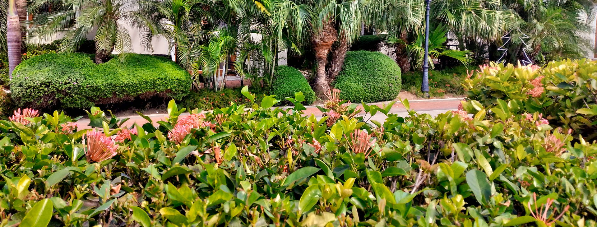 Acoya Curacao Resort Villas & Spa Obrázok40