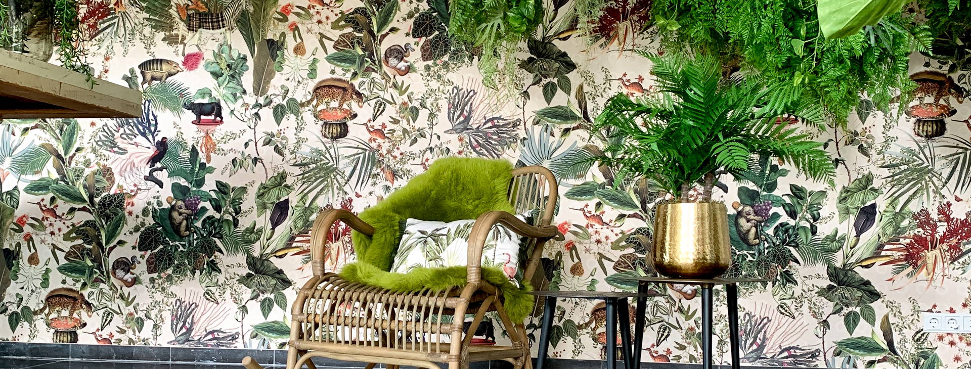 Hotel Papagayo Beach Obrázok14