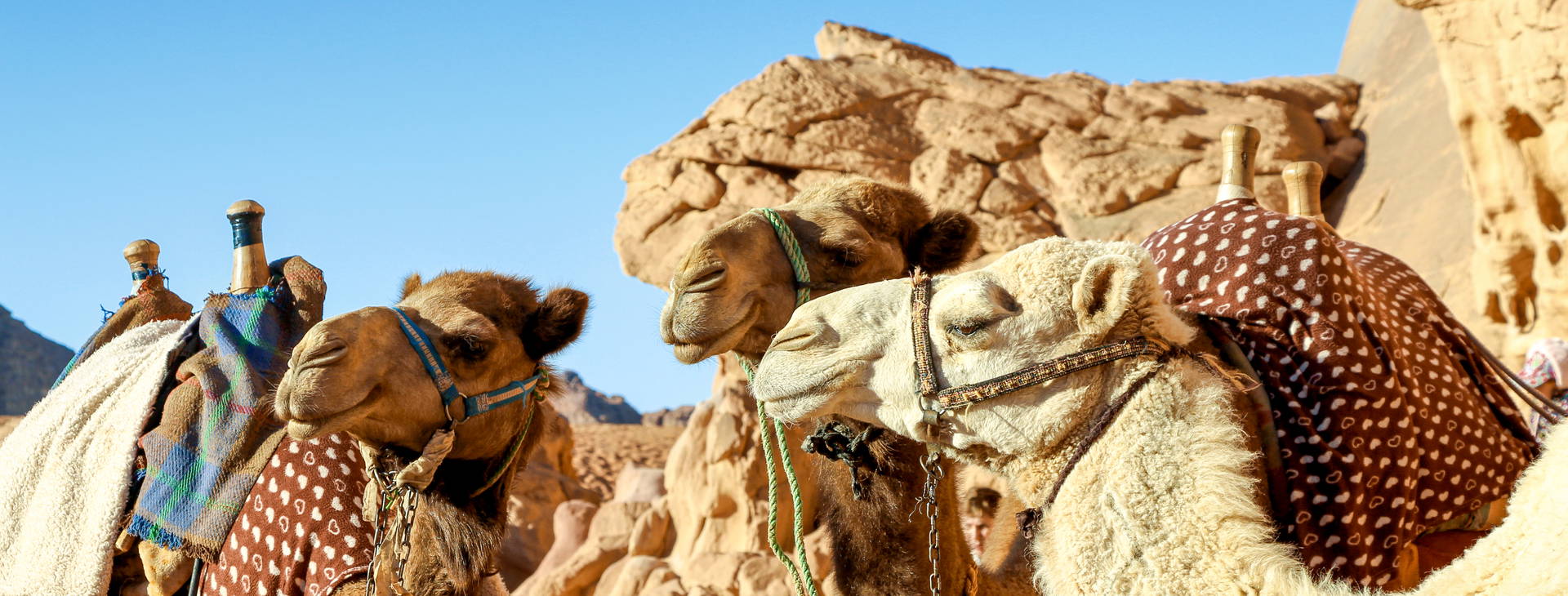 Ubytování TUL Obrázok5