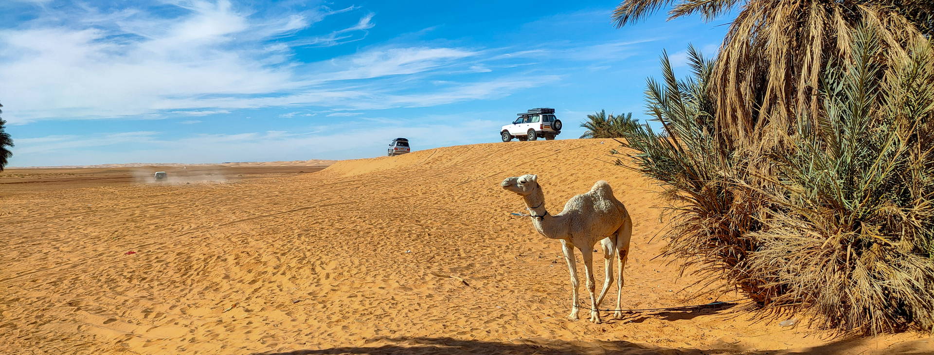 Ubytování TUL Obrázok14