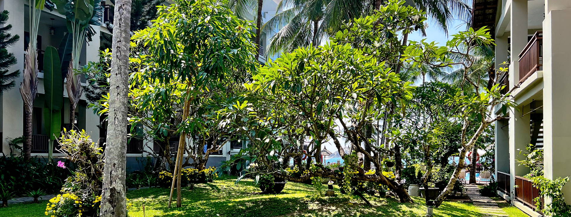 Canary Beach Resort  Obrázok33