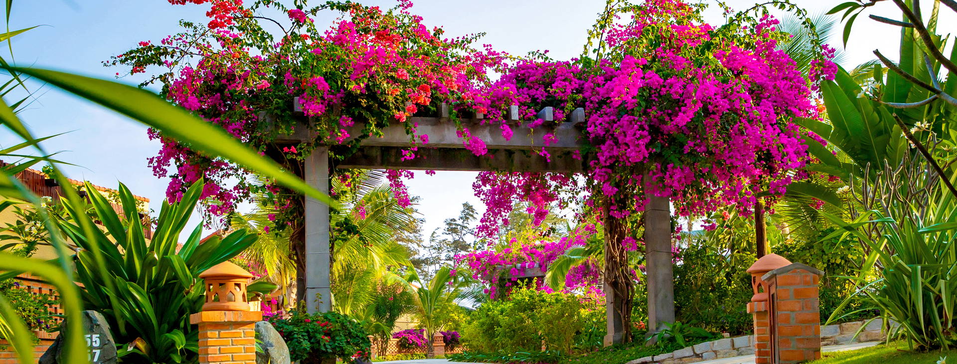 Pandanus Resort  Obrázok25