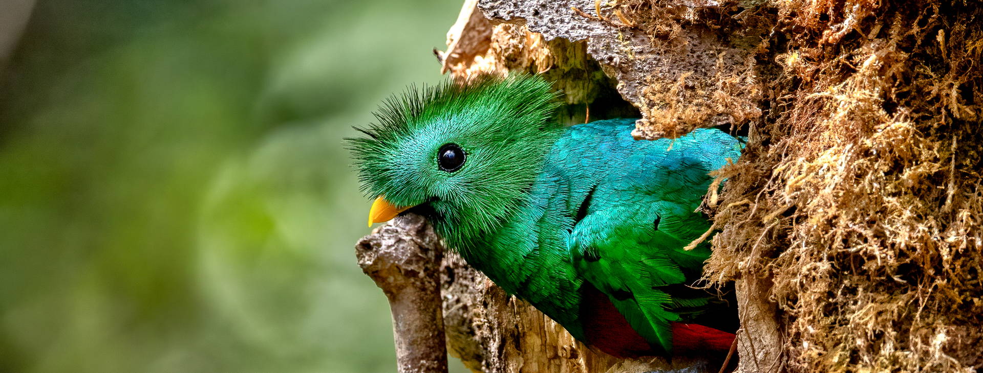 Ubytování KSO Obrázok13