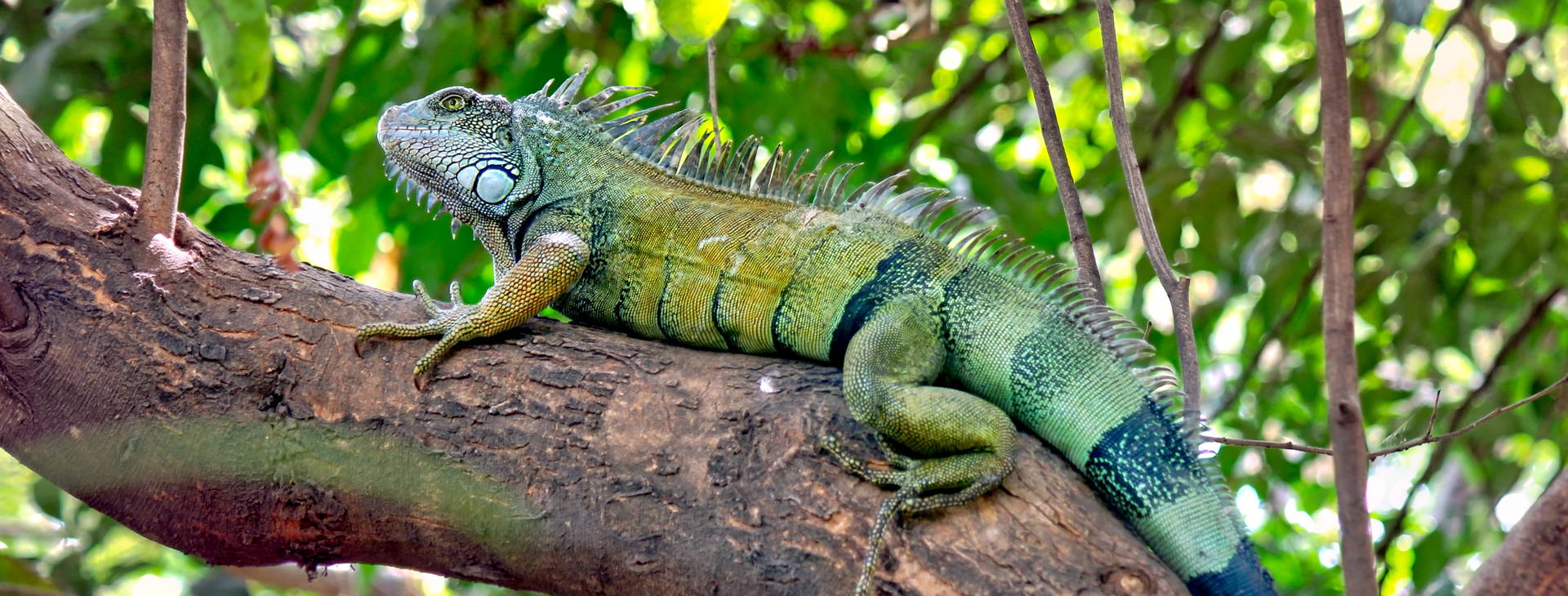 Ubytování KSO Obrázok25