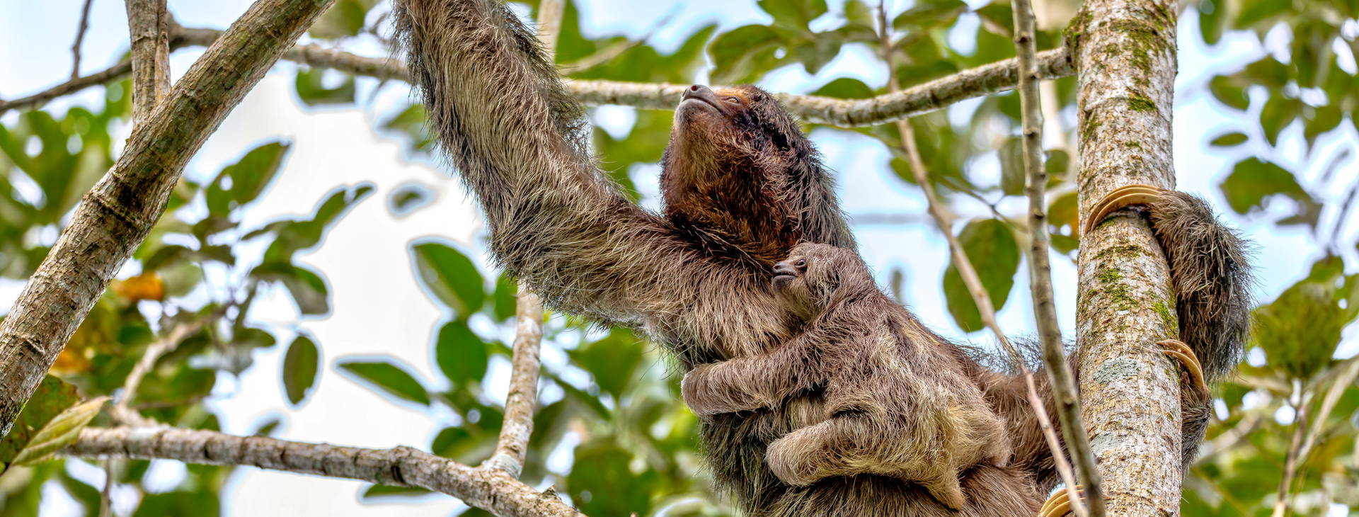 Ubytování KSO Obrázok21