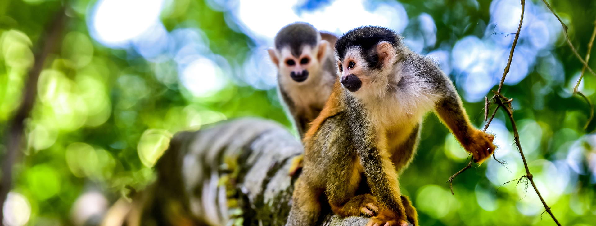 Ubytování KSO Obrázok8