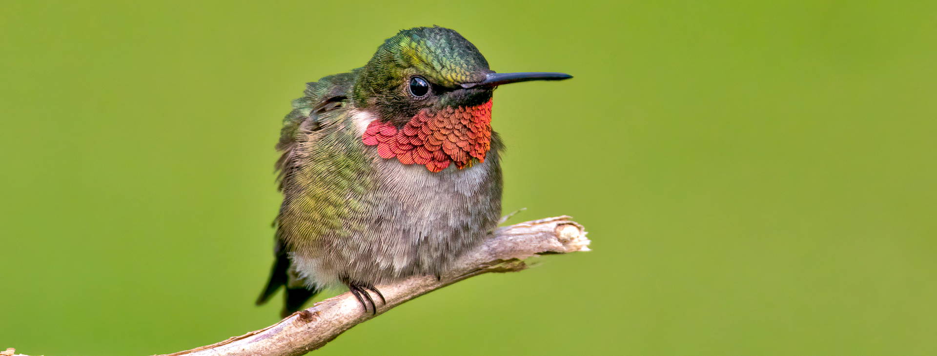 Ubytování KSO Obrázok28