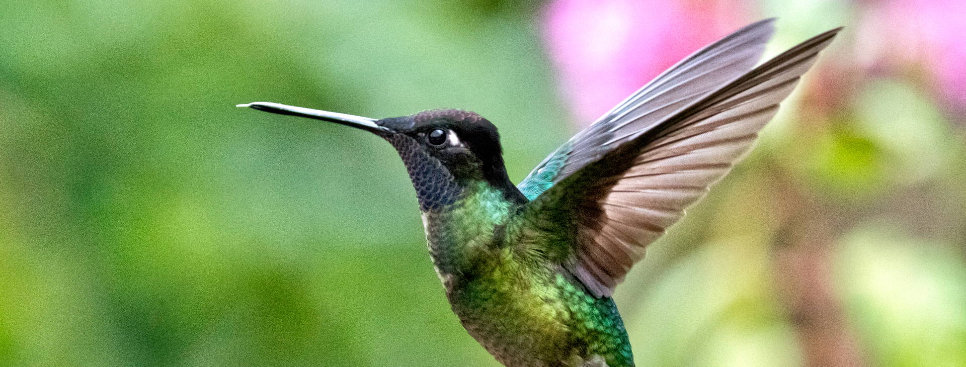 Ubytování KSO Obrázok30