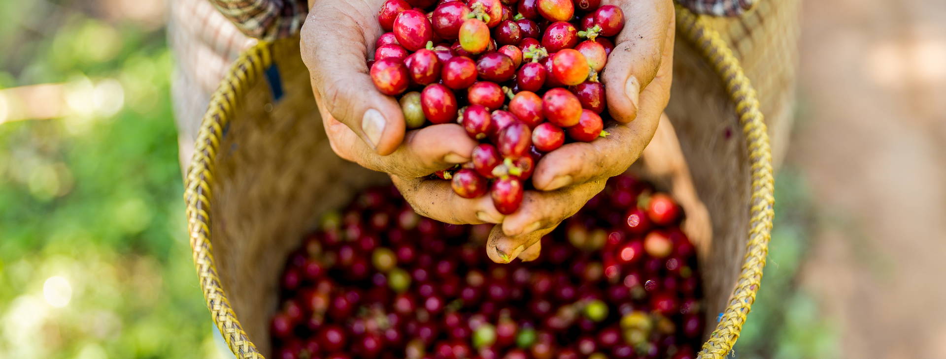 Ubytování KSO Obrázok9