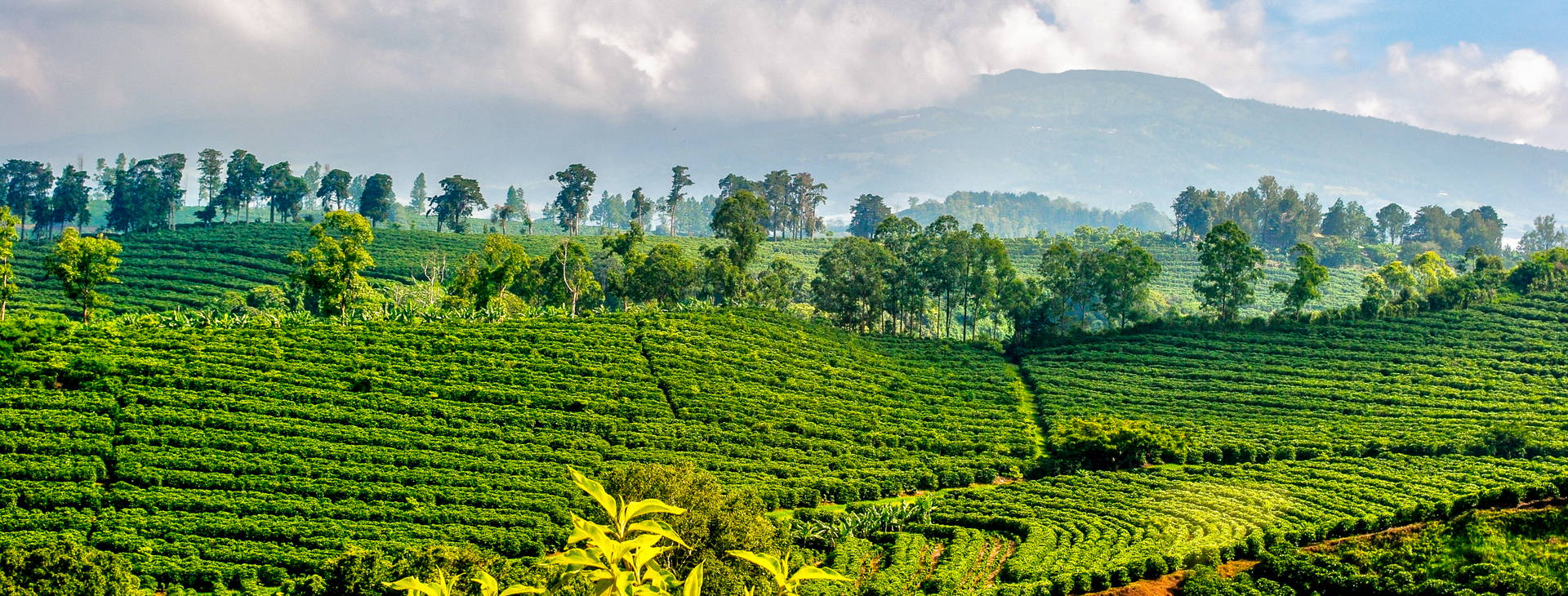 Ubytování KSO Obrázok36