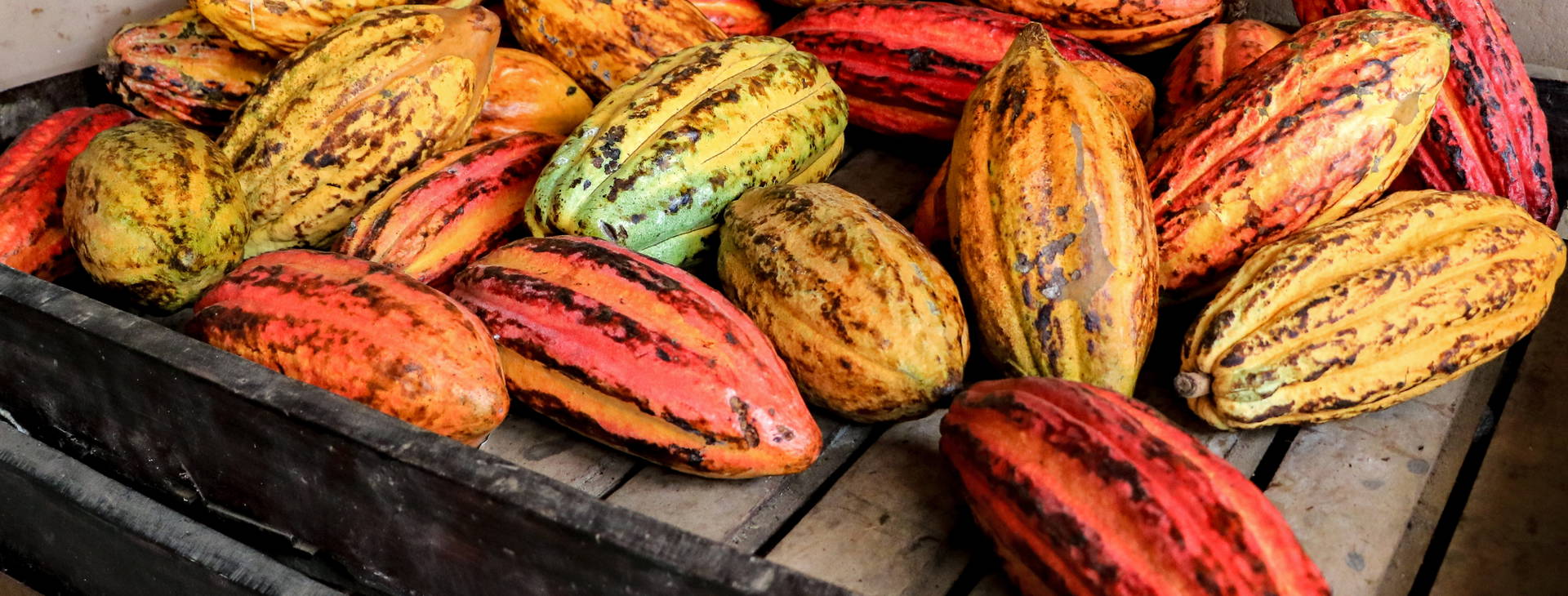 Ubytování KSO Obrázok14