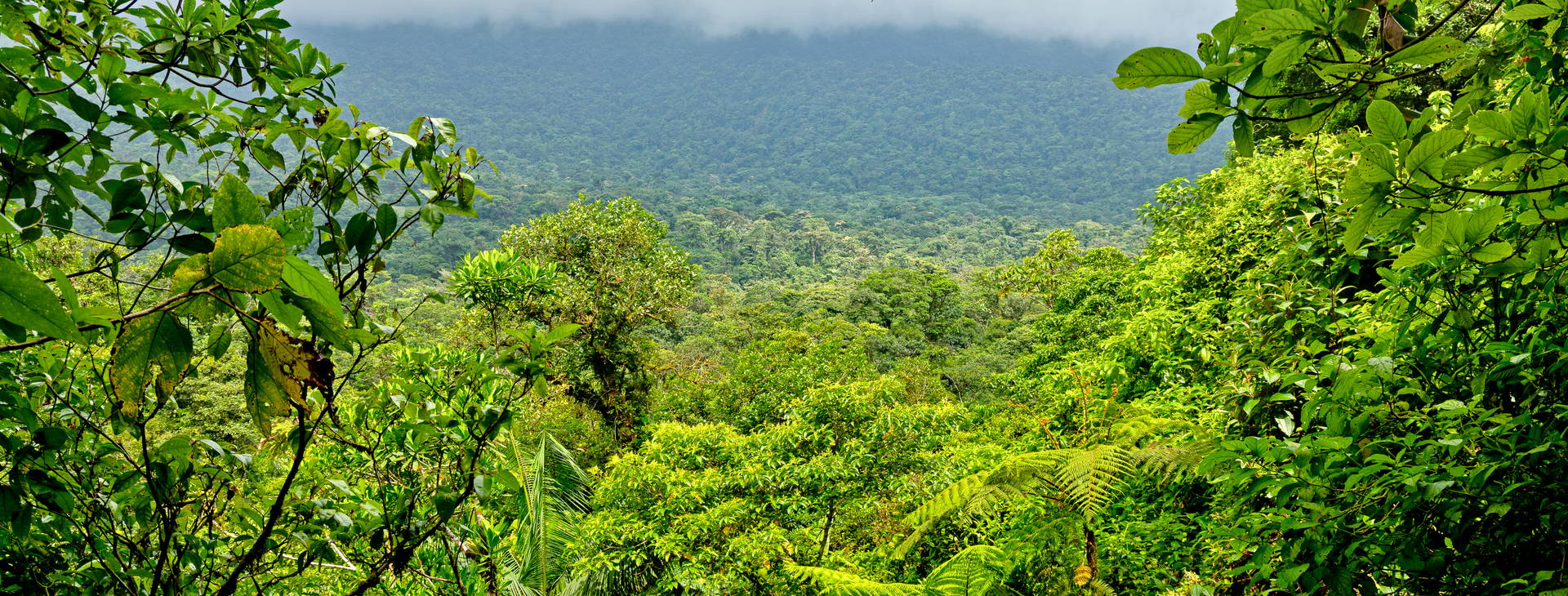 Ubytování KSO Obrázok37