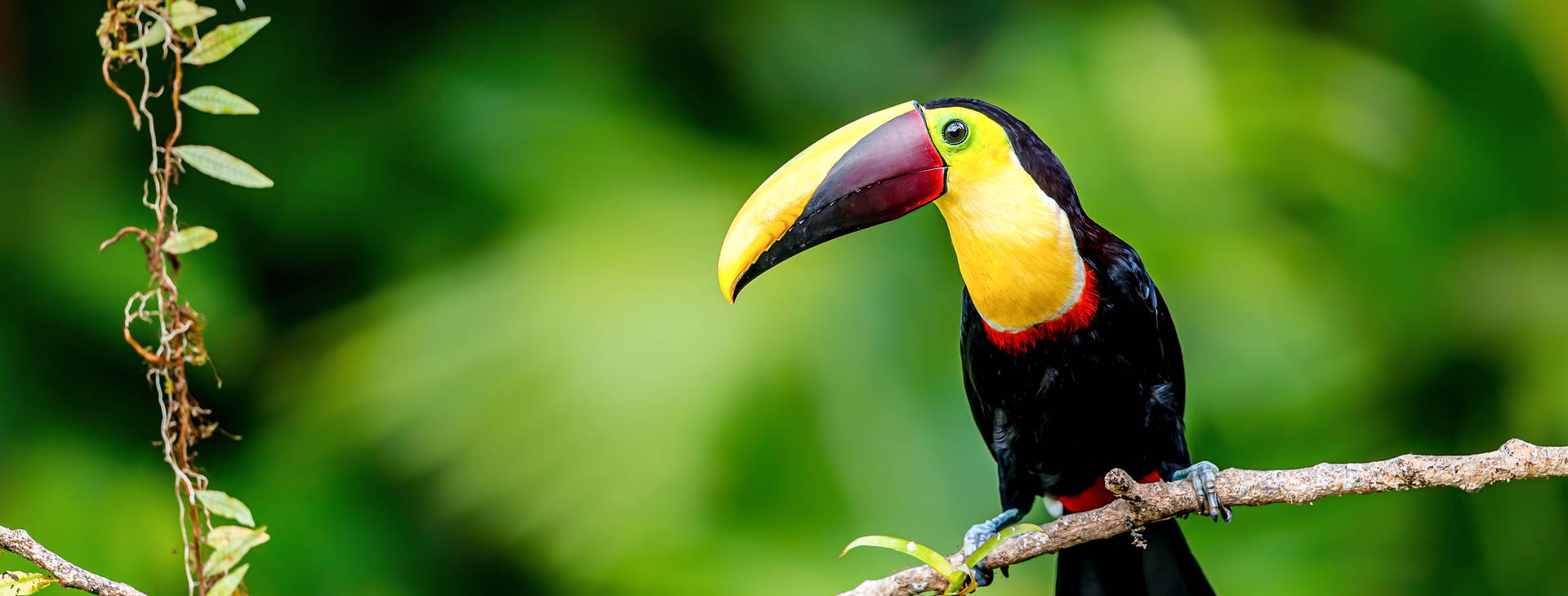 Ubytování KSO Obrázok18