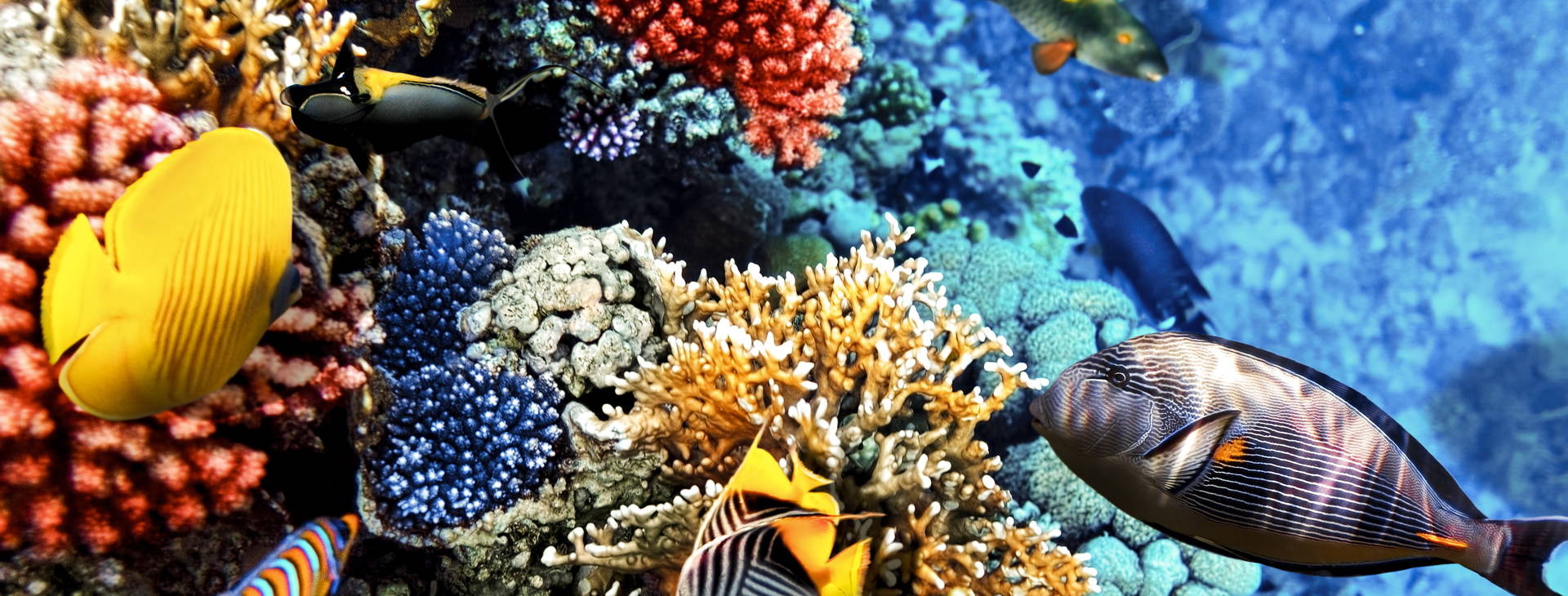 Ubytování KSO Obrázok20