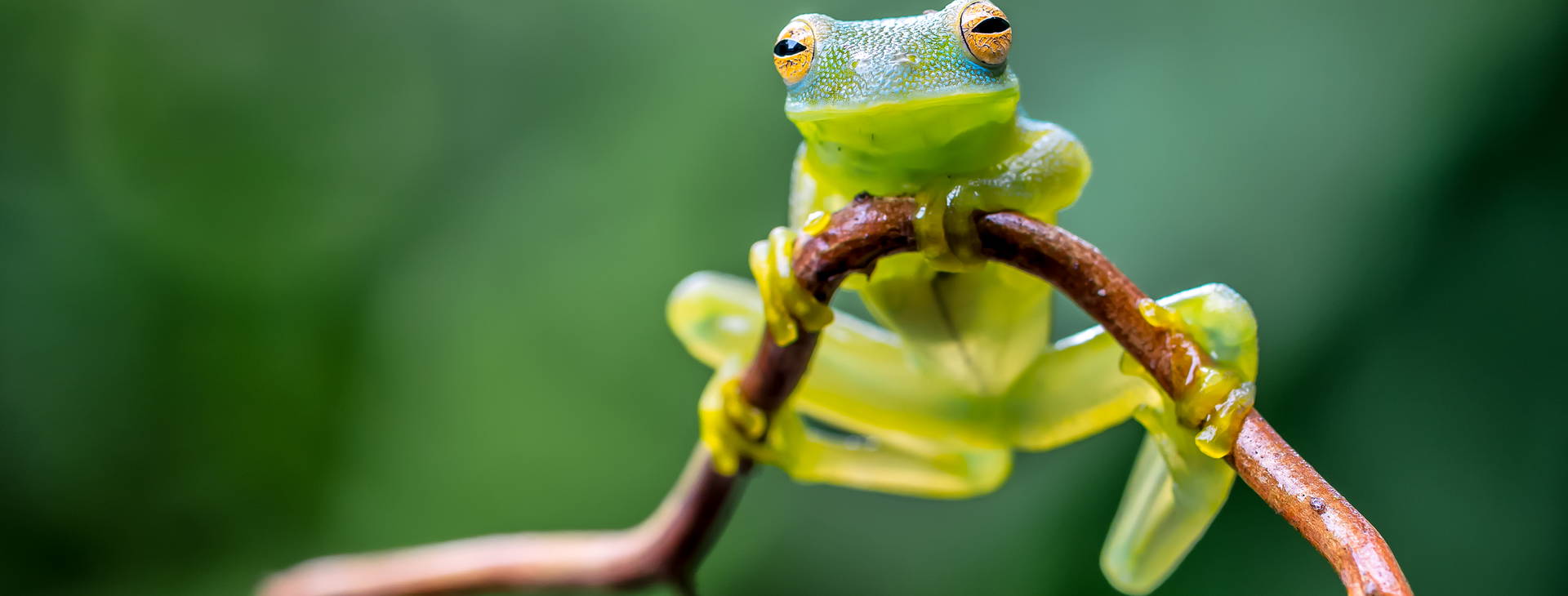 Ubytování KSO Obrázok10