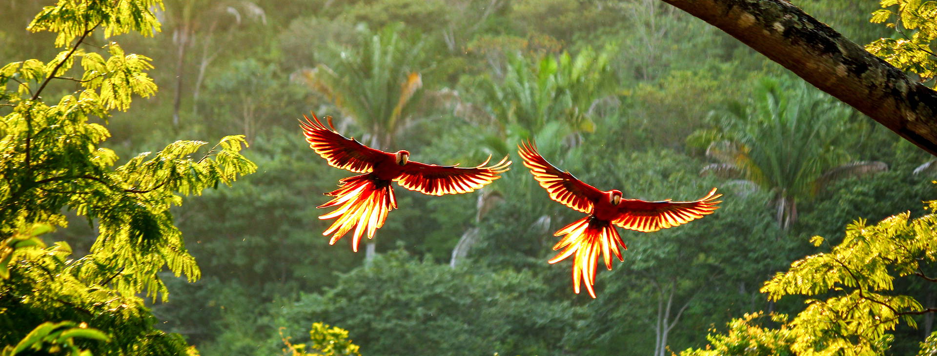 Ubytování KSO Obrázok1