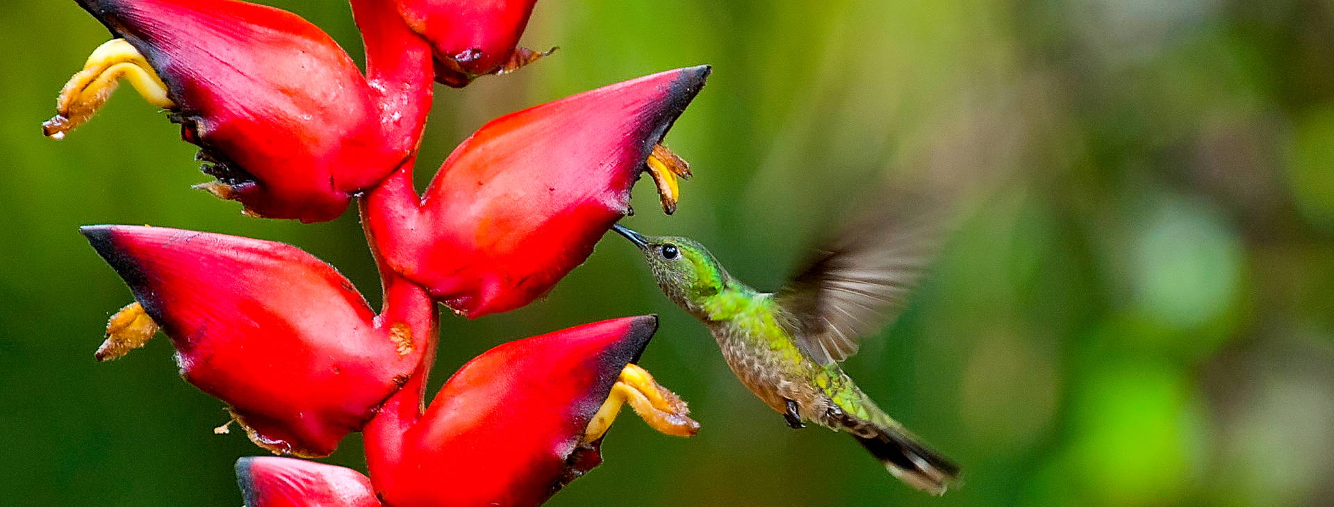 Ubytování KSO Obrázok22