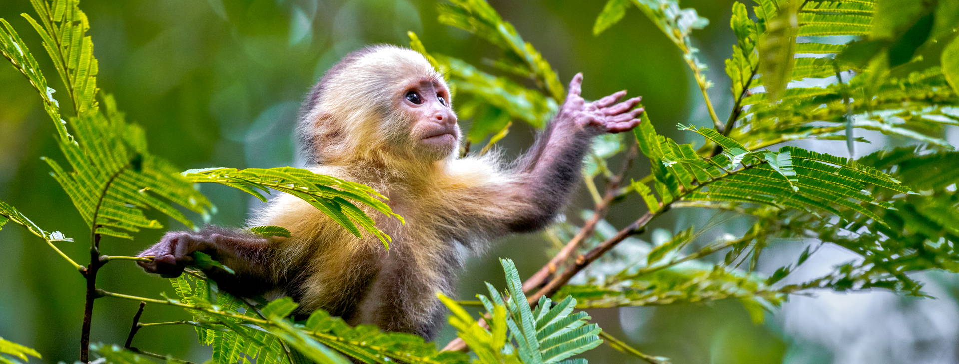 Ubytování KSO Obrázok3