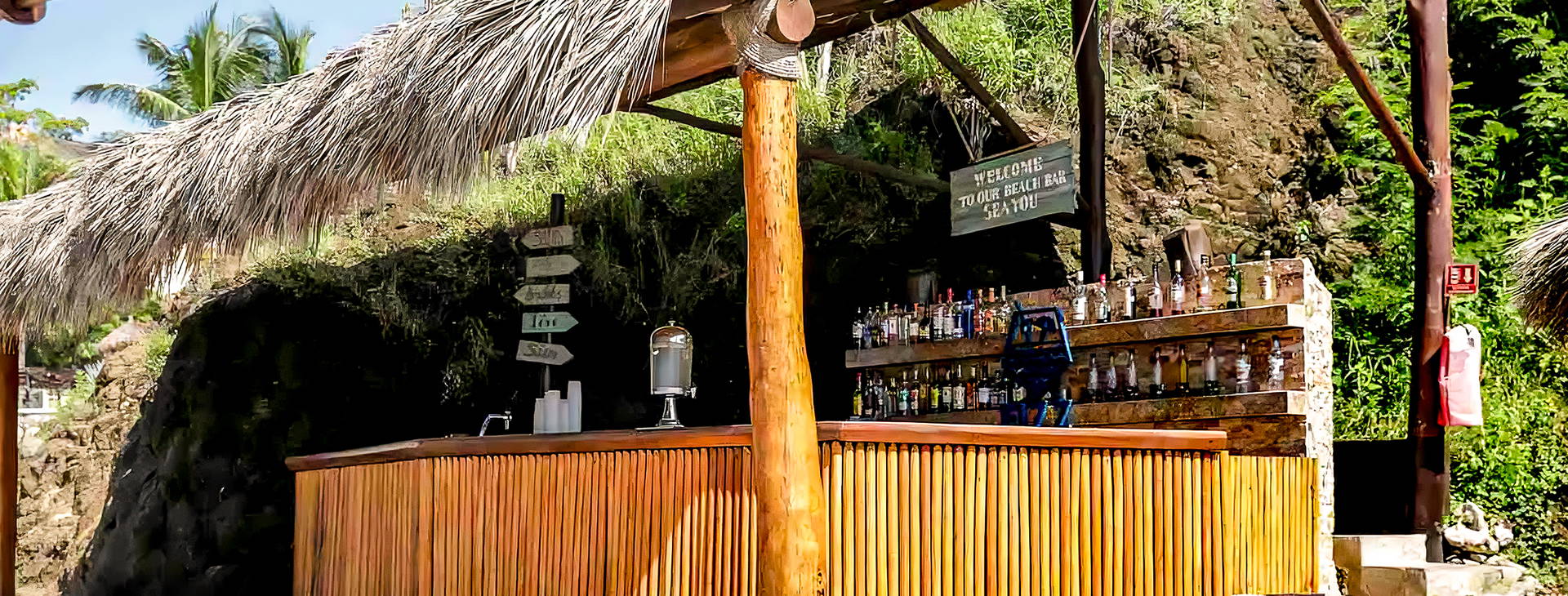 Grand Palladium Vallarta Resort & Spa Obrázok29